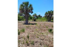 24 MAHOE DRIVE, PALM COAST, FL 32137 - MLS#MFRO6199106