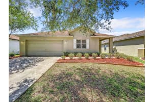 10506 GOSHAWK PLACE, RIVERVIEW, FL 33578 Sold 06/26/24