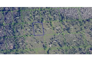 INTERNATIONAL DR, ORLANDO, FL 32821 - MLS#MFRO6199347