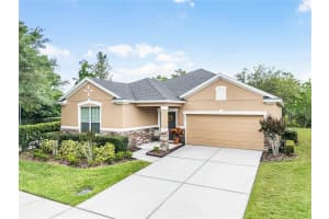805 BRANDY OAKS LOOP, WINTER GARDEN, FL 34787 Sold 06/12/24