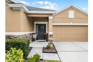 805 BRANDY OAKS LOOP, WINTER GARDEN, FL 34787 Sold 06/12/24
