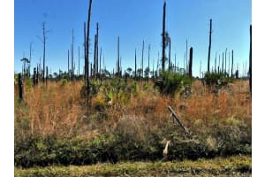 EWEN CIR, NORTH PORT, FL 34288 - MLS#MFRO6199524