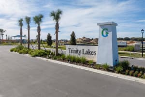 7118 DILLY LAKE AVENUE, GROVELAND, FL 34736 Sold 08/22/24