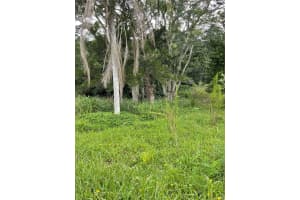 523 1ST STREET, OVIEDO, FL 32765 Sold 12/10/24