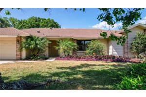 5155 SUN PALM DRIVE, WINDERMERE, FL 34786 Sold 05/24/24
