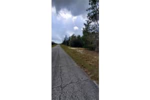 1428 HILLSBOROUGH DRIVE, POINCIANA, FL 34759 - MLS#MFRO6199976