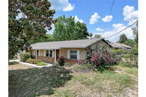 10821 TREADWAY SCHOOL ROAD, LEESBURG, FL 34788 Sold 07/31/24