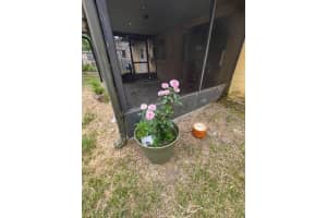 3133 BON AIR DRIVE, ORLANDO, FL 32818 Sold 05/15/24