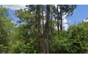23424 MCBRIDE AVENUE, PORT CHARLOTTE, FL 33980 Sold 10/28/24