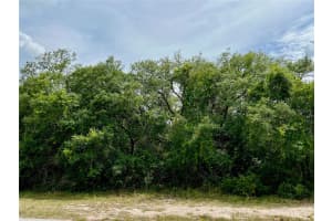 CASPIAN RD, KISSIMMEE, FL 34759 Sold 05/06/25