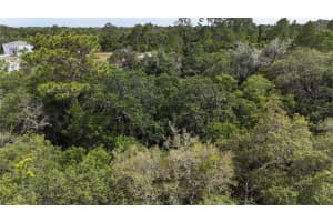 CASPIAN RD, KISSIMMEE, FL 34759 Sold 05/06/25