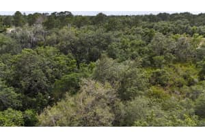 CASPIAN RD, KISSIMMEE, FL 34759 Sold 05/06/25