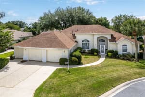 21512 CASTLE VIEW COURT, LEESBURG, FL 34748 Sold 07/16/24