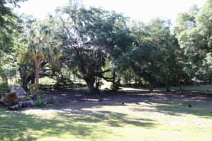 4763 23RD AVENUE, WILDWOOD, FL 34785 Sold 01/13/25