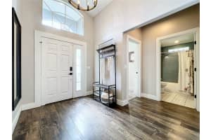 2715 SNOW GOOSE LANE, LAKE MARY, FL 32746 Sold 06/10/24