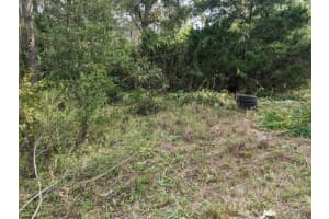 12730 EOLA AVENUE, NEW PORT RICHEY, FL 34654 - MLS#MFRO6202534