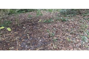 12750 EOLA AVENUE, NEW PORT RICHEY, FL 34654 - MLS#MFRO6202537