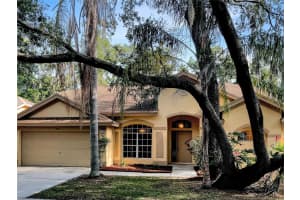 2316 KENWICK DRIVE, VALRICO, FL 33596 Sold 05/01/25
