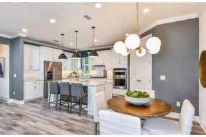 5286 FOOTHILLS PRESERVE LOOP, MOUNT DORA, FL 32757 Sold 09/23/24