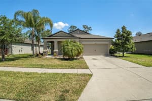 18753 OBREGAN DRIVE, SPRING HILL, FL 34610 Sold 12/20/24