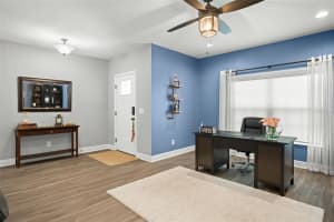 9382 HALSEY DRIVE, GROVELAND, FL 34736 Sold 07/25/24