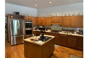 3314 CHEVIOT DRIVE, TAMPA, FL 33618 Sold 12/23/24
