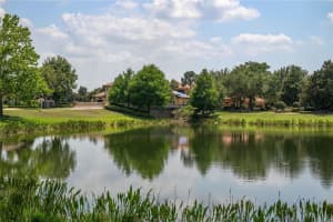 6536 LAKE BURDEN VIEW DRIVE, WINDERMERE, FL 34786 Sold 08/02/24
