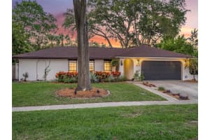 8049 CHIANTI DRIVE, ORLANDO, FL 32836 Sold 07/19/24