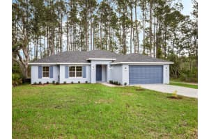 31355 NUTMEG AVENUE, EUSTIS, FL 32736 Sold 12/03/24