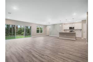 31355 NUTMEG AVENUE, EUSTIS, FL 32736 Sold 12/03/24