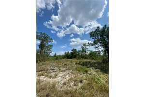 3554 MARIANA AVENUE, LAKE PLACID, FL 33852 - MLS#MFRO6206350