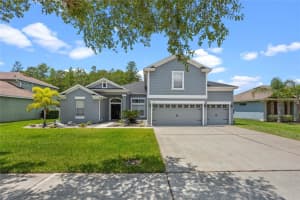 3371 PAWLEYS LOOP, SAINT CLOUD, FL 34769 Sold 08/02/24