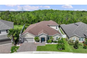 2119 PEARL CIDER ST, ORLANDO, FL 32824 Sold 07/19/24