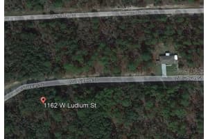 1162 LUDLUM STREET, DUNNELLON, FL 34434 Sold 12/23/24