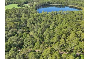 EDGEHILL DR, GROVELAND, FL 34736 - MLS#MFRO6208905