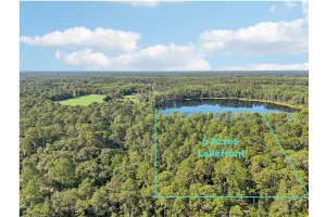 EDGEHILL DR, GROVELAND, FL 34736 - MLS#MFRO6208905
