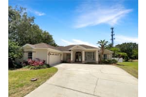 2513 Andrea Lynn Dr, LUTZ