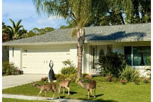 1137 LANYARD STREET, PALM HARBOR, FL 34685 Sold 10/16/24