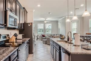 18667 NOBLE CASPIAN DRIVE, LUTZ, FL 33558 Sold 07/23/24