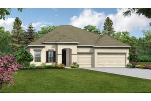 10081 DOLPHIN GULL CIRCLE, THONOTOSASSA, FL 33592 Sold 12/17/24
