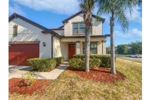 19209 ANDREA LYNN LANE, LAND O LAKES, FL 34638 Sold 12/13/24