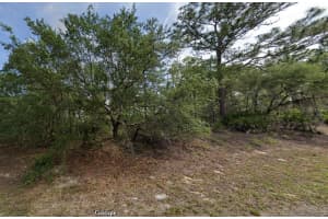 6761 DARLINGTON DRIVE, DUNNELLON, FL 34434 - MLS#MFRO6212570