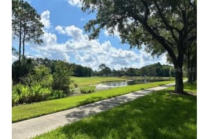 1002 WATERSIDE DRIVE, CELEBRATION, FL 34747 Sold 10/18/24
