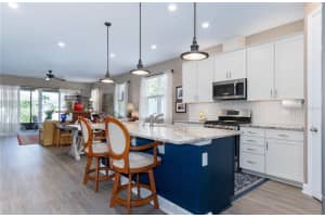 2539 AUTUMN STREAM DRIVE, LEESBURG, FL 34748 Sold 08/20/24