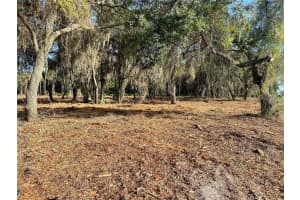 E LAKE SHORE BLVD, KISSIMMEE, FL 34744 - MLS#MFRO6213333