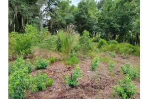 E LAKE SHORE BLVD, KISSIMMEE, FL 34744 - MLS#MFRO6213333