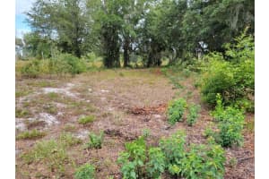 E LAKE SHORE BLVD, KISSIMMEE, FL 34744 - MLS#MFRO6213333