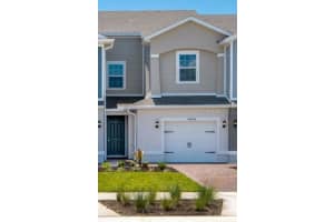 17339 Peregrine Way, PUNTA GORDA