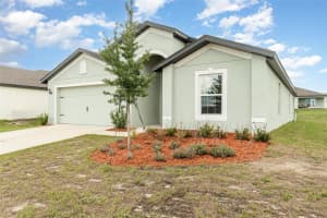 1317 BRENWAY DRIVE, MASCOTTE, FL 34753 Sold 02/20/25