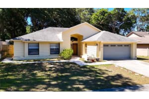 4133 YELLOWWOOD DRIVE, VALRICO, FL 33594 Sold 10/15/24